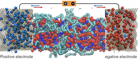 Machine-learning corrected force field